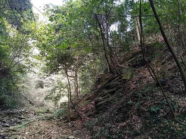鸡蛋虽好，并非多多益善，3岁的宝宝一天吃多少鸡蛋比较好？游戏画面