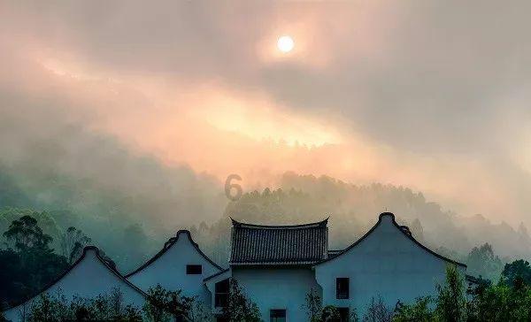 橙子不好吃可以用来做什么？游戏画面
