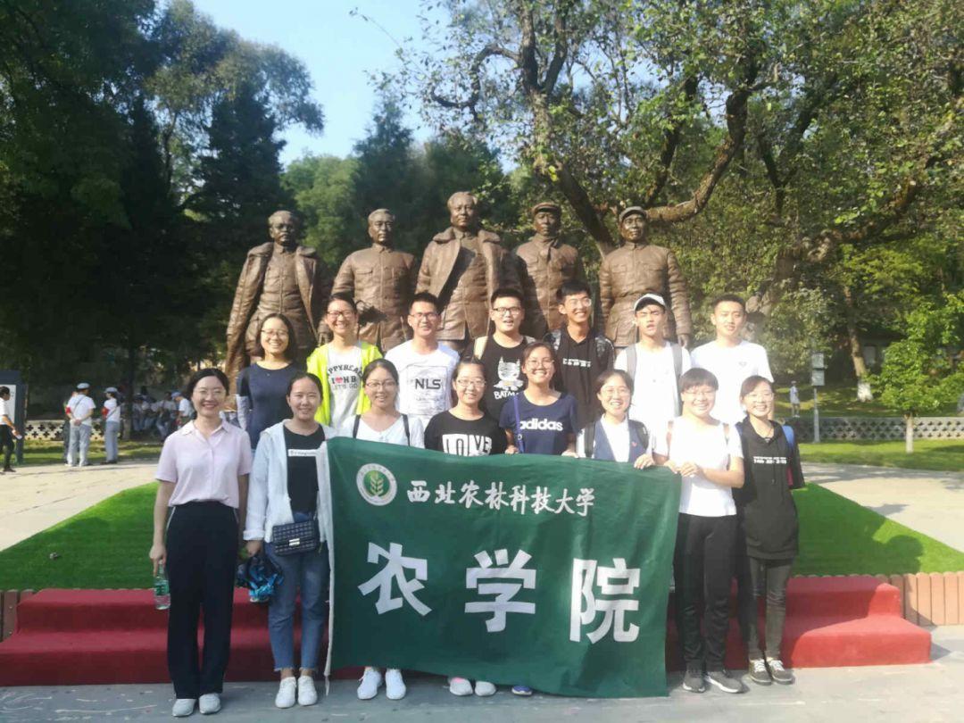 数据大屏如何发挥“乘数效应”,促进智能工厂数字化转型