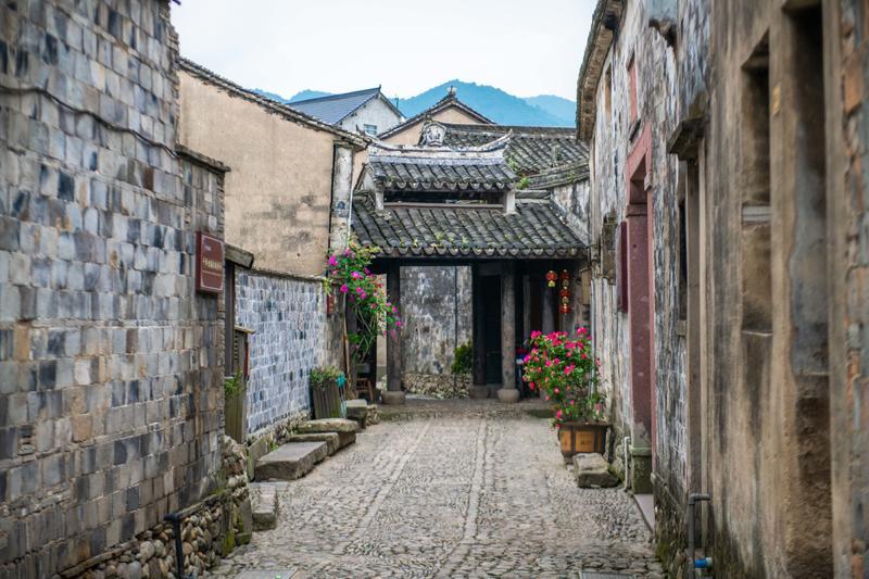 狗狗打了一针 两个月大 不爱喝水 眼泪多吃东西不活泼嗜睡金毛犬