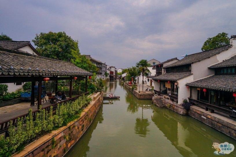 救援快乐的兔子