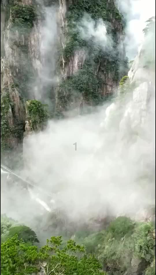 萌犬找不同